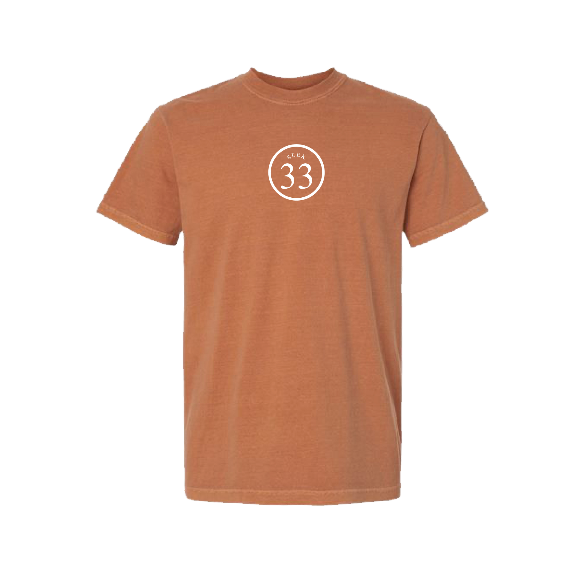 SEEKTHIRTY3 Iconic Tee [Yam]